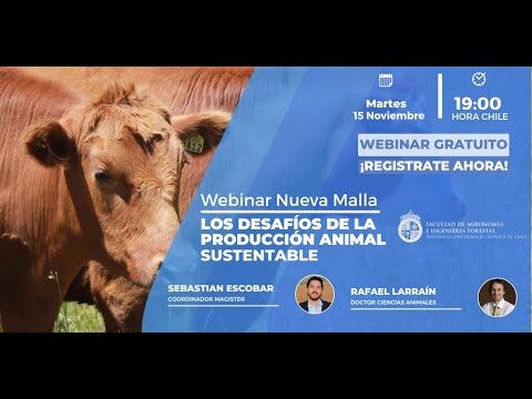 Mejores Cursos de Producci&oacute;n Animal en Chile