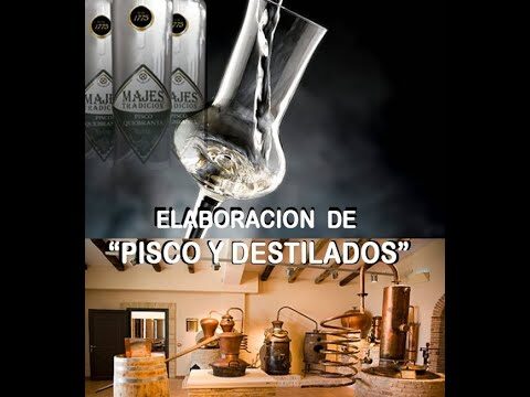 Curso de Pisco en Chile: Aprendiendo la Tradici&oacute;n y el Sabor