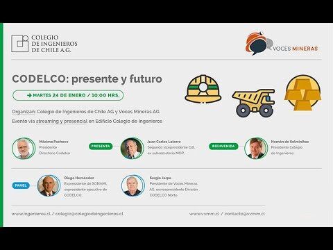 Cursos del Colegio de Ingenieros de Chile: Formaci&oacute;n para el Futuro Profesional