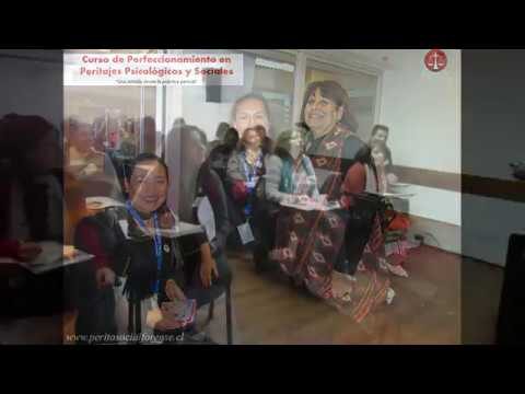 Curso de Peritaje Psicol&oacute;gico en Chile: Formaci&oacute;n y Oportunidades