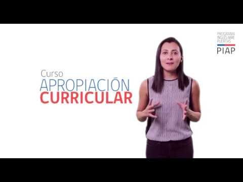 Optimizaci&oacute;n de Cursos de Ingl&eacute;s en Chile: Iniciativas del MINEDUC