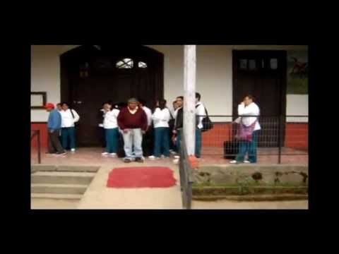 Curso de Podolog&iacute;a en Talca, Chile: Formaci&oacute;n Integral y Oportunidades