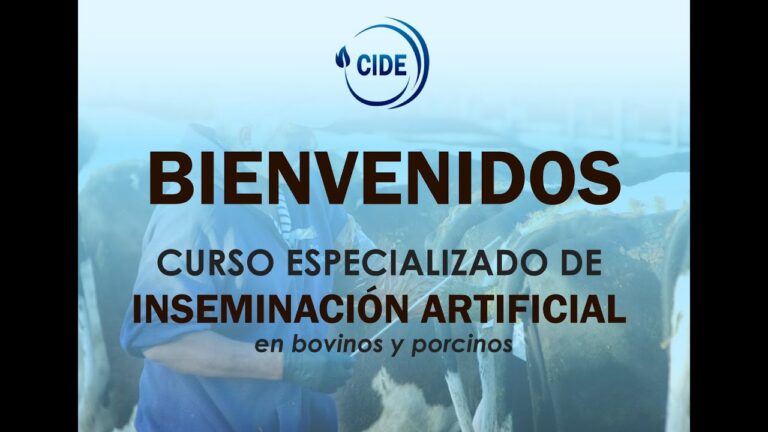 Curso de Inseminación Artificial en Chile: Aprende y Certifícate