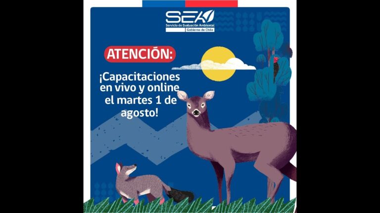 Explorando la Flora y Vegetaci&oacute;n de Chile: Un Curso Esencial