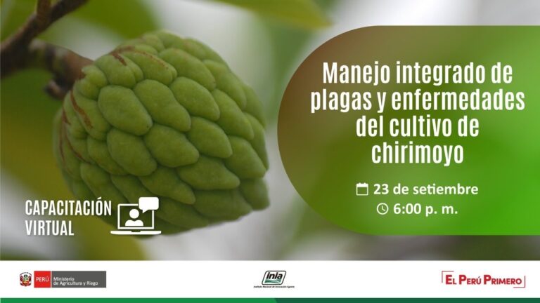 Curso Presencial de Injerto de &Aacute;rboles Frutales en Chile