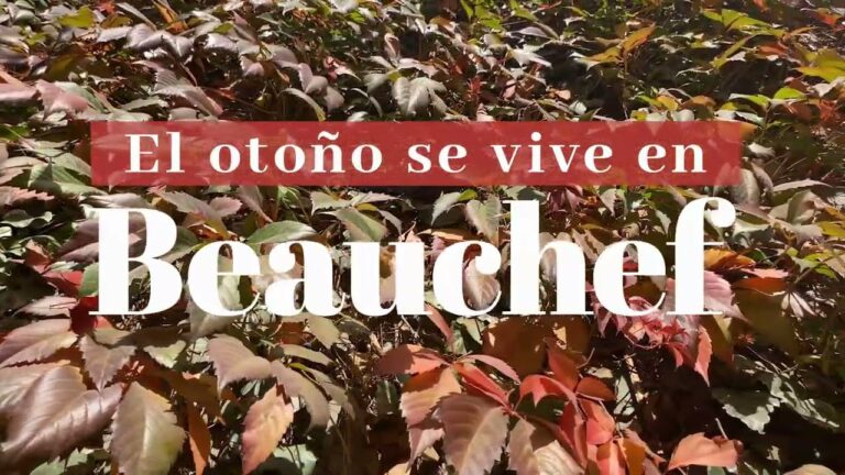 Oportunidades de Aprendizaje: Cursos de Oto&ntilde;o en la Universidad de Chile