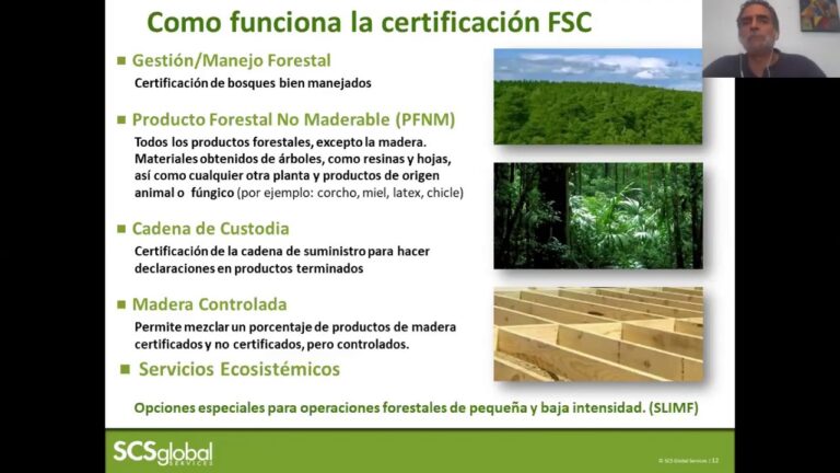 Optimizaci&oacute;n del Curso de Cadena de Custodia FSC en Chile