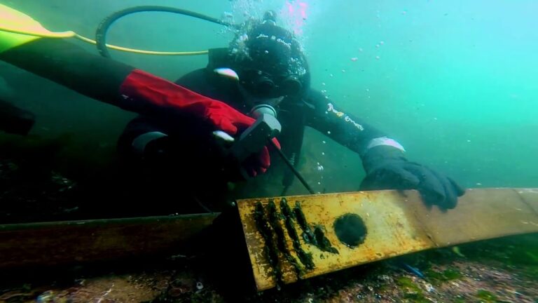 Curso de Soldadura Submarina en Chile: Formaci&oacute;n y Oportunidades