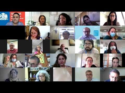 Curso de Gerontolog&iacute;a en Chile: Formaci&oacute;n para el Cuidado del Adulto Mayor