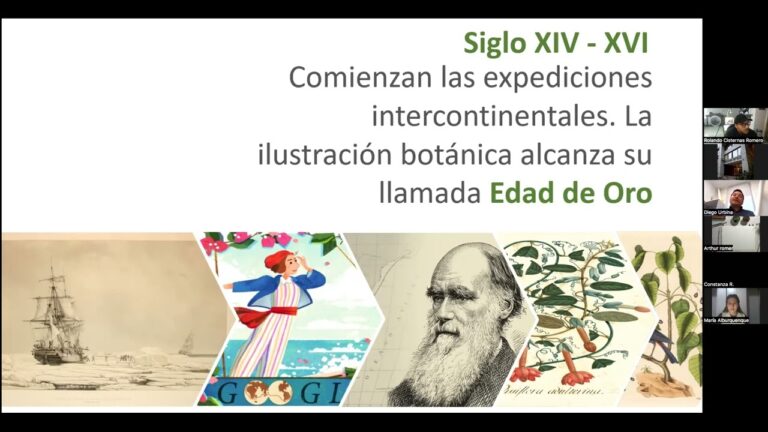 Curso de Ilustraci&oacute;n Bot&aacute;nica en Chile