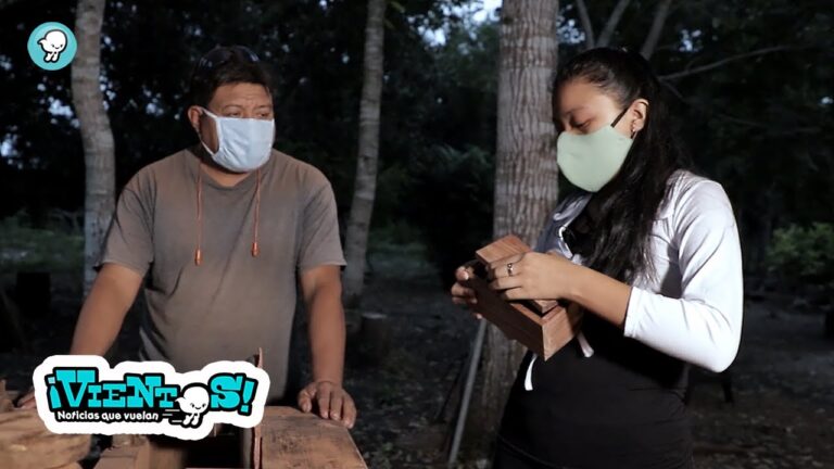 Curso de Artesan&iacute;a en Madera en Chile: Aprendizaje y Creatividad
