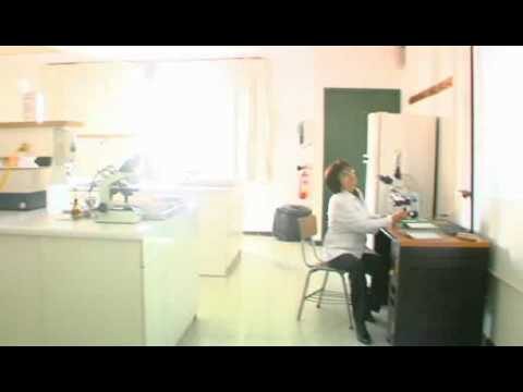 Avances en Cursos de Odontolog&iacute;a en Chile