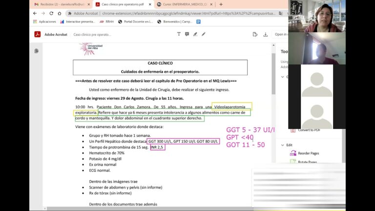 Curso de Enfermer&iacute;a en el Hospital Cl&iacute;nico de la Universidad de Chile