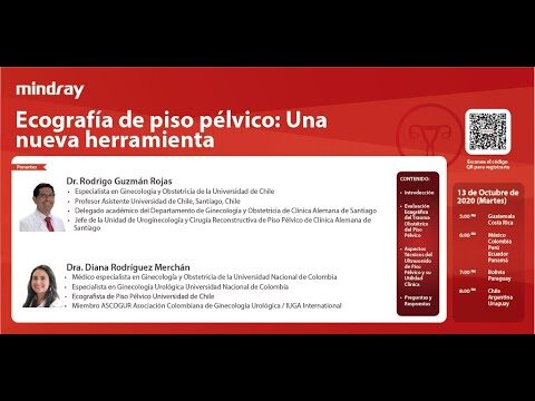 Curso de Suelo P&eacute;lvico en Chile: Mejora tu Salud y Bienestar