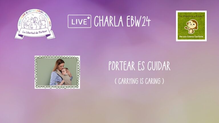 Curso de Asesor&iacute;a en Porteo en Chile