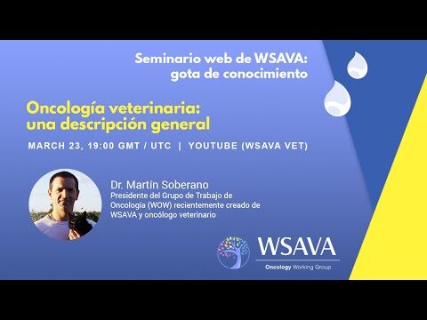 Curso de Citología Veterinaria en Chile: Aprende y Aplica