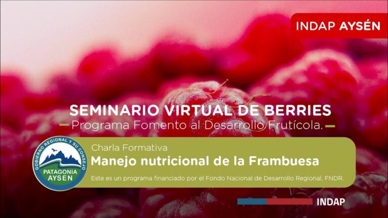 Cursos de Nutrici&oacute;n y Fertilizaci&oacute;n de Frutales y Hortalizas en Chile
