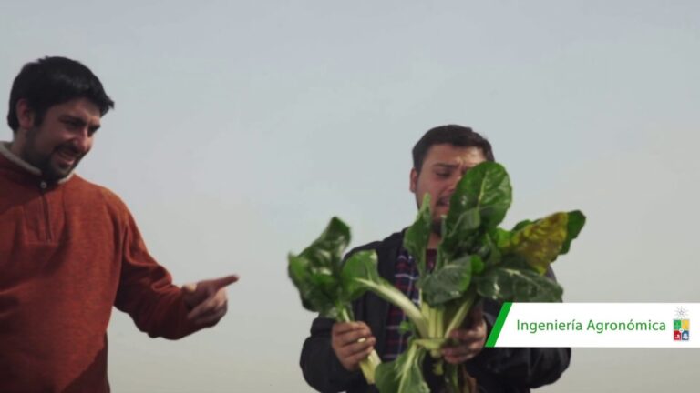 Mejores Cursos en la Facultad de Agronom&iacute;a de la Universidad de Chile