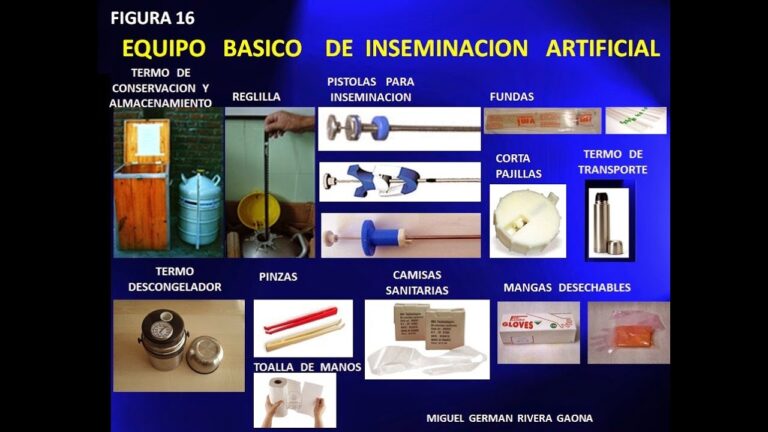 Curso de Inseminaci&oacute;n Artificial en la Universidad Austral de Chile