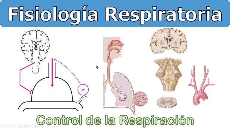 Optimizaci&oacute;n del Curso de Fisiolog&iacute;a del Ejercicio en la Universidad de Chile