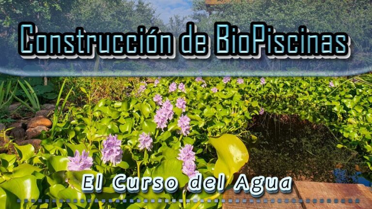 Curso de Fitodepuraci&oacute;n en Chile: Soluciones Ecol&oacute;gicas para el Tratamiento de Aguas