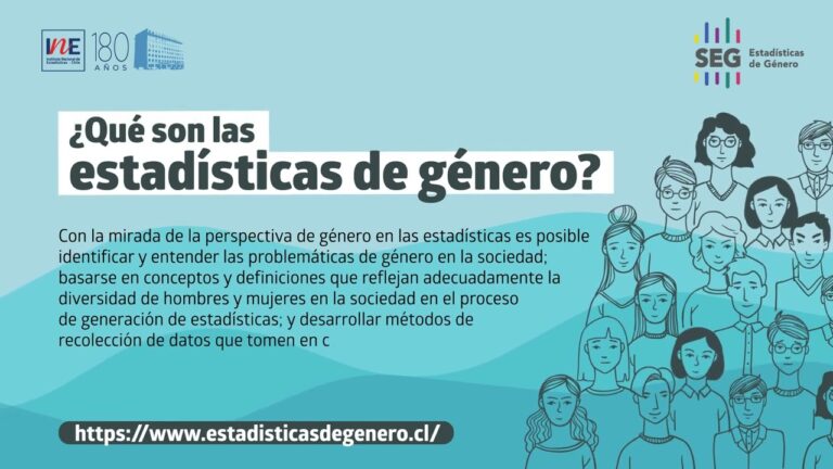 Curso de Estad&iacute;sticas de G&eacute;nero en Chile