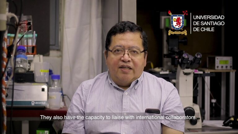 Curso Avanzado de Neurociencia en Santiago de Chile