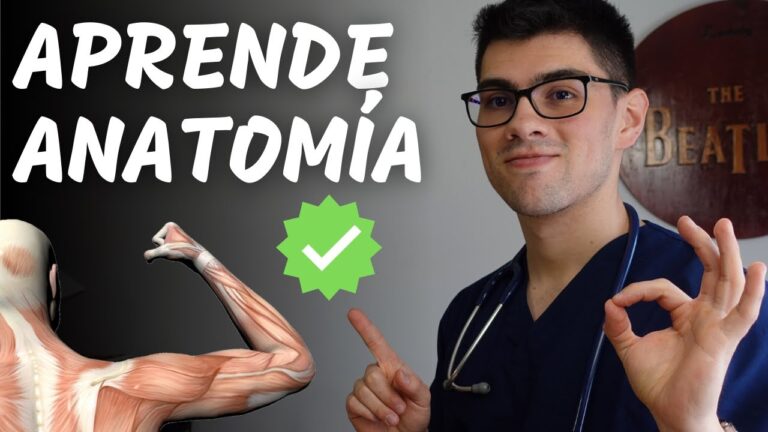 Curso de Anatom&iacute;a en Chile: Aprendizaje Efectivo y Pr&aacute;ctico