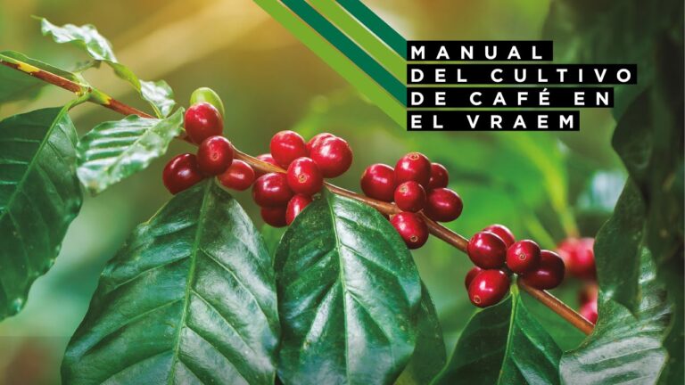 Curso de Acuerdos de Producción Limpia en Chile: 60 Horas de Capacitación