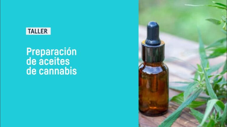 Cursos de Homeopat&iacute;a Accesibles en Chile