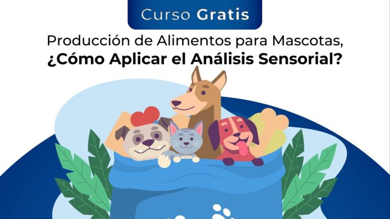 Mejora Tus Habilidades con el Curso de Evaluaci&oacute;n Sensorial de Alimentos en Chile