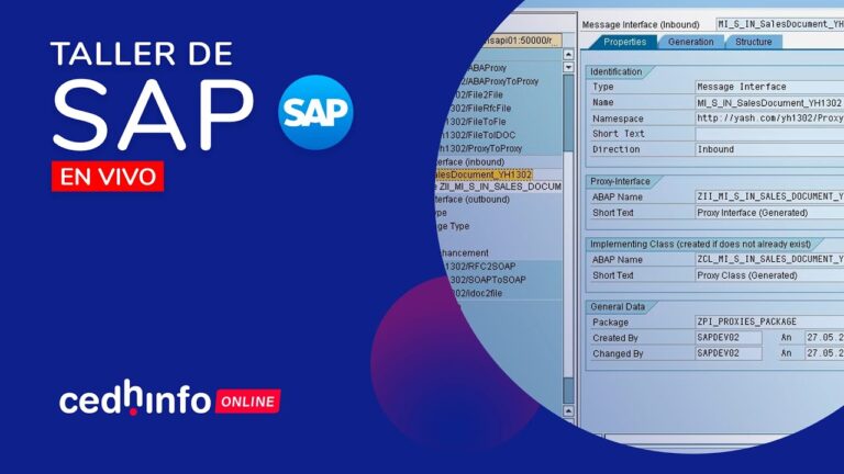 Curso de Administraci&oacute;n SAP Basis en Chile