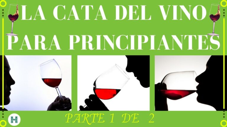 Cursos Gratuitos de Cata de Vinos en Chile