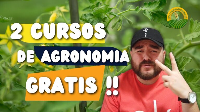Mejores Cursos de Agronom&iacute;a en Chile