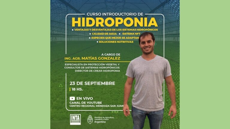 Curso de Cultivo Hidrop&oacute;nico en Chile: Transformando la Agricultura Urbana