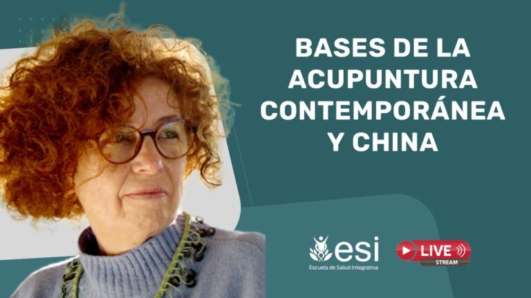 Curso de Acupuntura en la Universidad de Chile: Formaci&oacute;n Integral y Pr&aacute;ctica