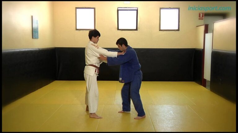 Curso de Judo en Chile: Desde Cero hasta la Maestr&iacute;a