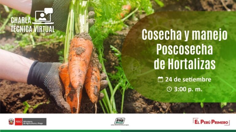 Gu&iacute;a Completa del Temario de Curso de Hortalizas en Chile