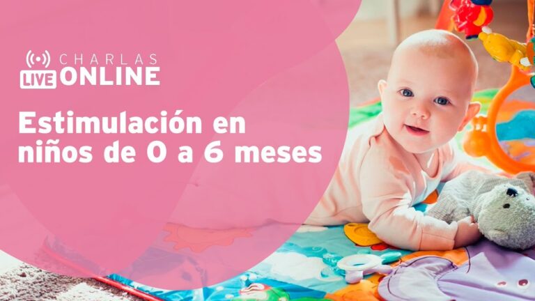 Curso de Estimulaci&oacute;n de la Inteligencia en Pies en Chile