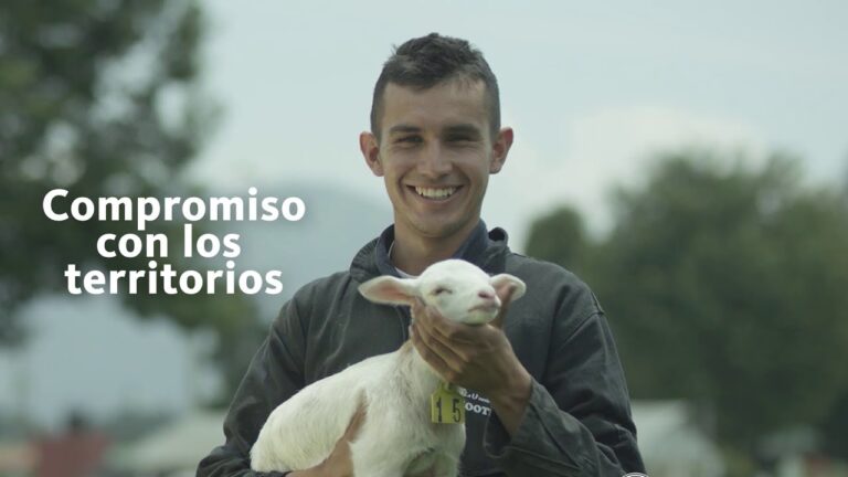 Cursos de Veterinaria en la U. de Chile: Oportunidades y Beneficios