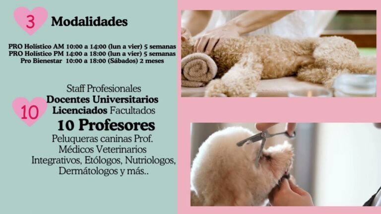 Curso de Peluquer&iacute;a Canina en Santiago, Chile