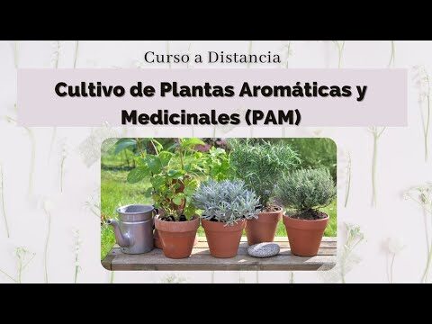 Cursos de Cultivo de Plantas Medicinales y Flores en Chile