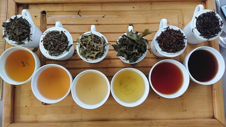 Descubre los Mejores Cursos de T&eacute; en Chile