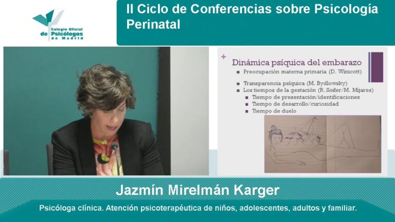 Curso de Psicolog&iacute;a Perinatal en Chile: Formaci&oacute;n y Oportunidades