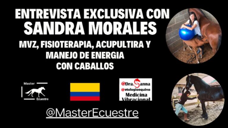 Certificaci&oacute;n en Cursos de Vendaje Neuromuscular en Chile