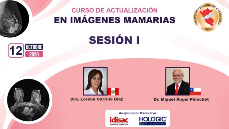 Curso de Imagenolog&iacute;a en Chile: Formaci&oacute;n y Oportunidades