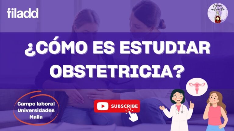 Optimizaci&oacute;n del Parto en la Universidad de Chile a trav&eacute;s de U-Cursos