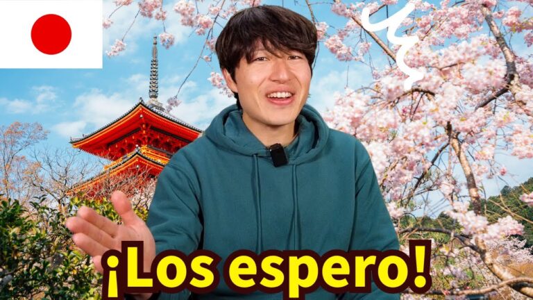 Curso de Japon&eacute;s en Chile: Domina el Idioma con &Eacute;xito