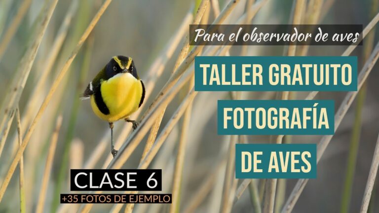 Cursos Gratuitos de Fotograf&iacute;a en Santiago de Chile