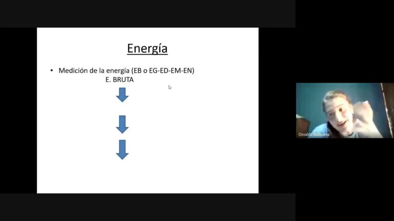 Curso de Dieta Veterinaria en Chile